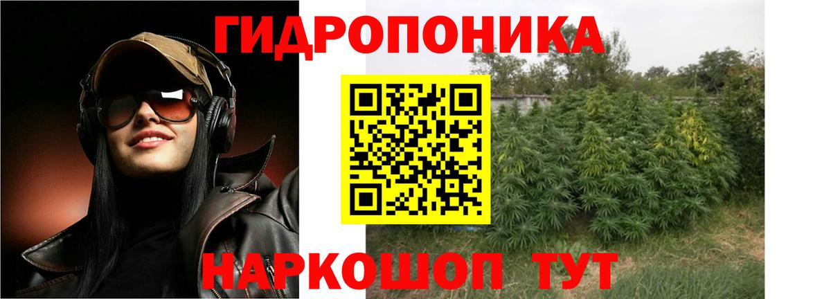 Бошки Шишки THC 21% Кудрово